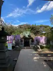 江島神社(神奈川県)