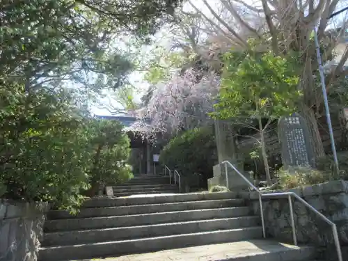 安國論寺（安国論寺）の景色