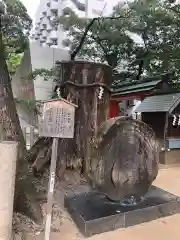 生田神社の自然