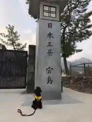 厳島神社の建物その他