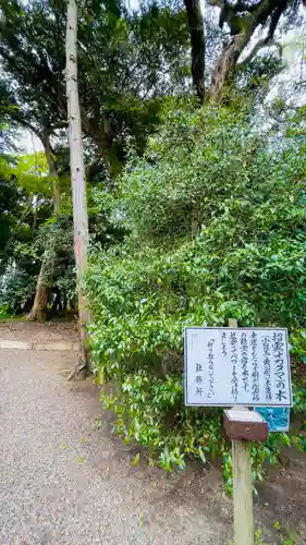 息栖神社の歴史