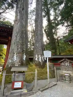 日光二荒山神社(栃木県)