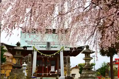 熊野福藏神社の景色