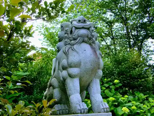 鎮守氷川神社の狛犬