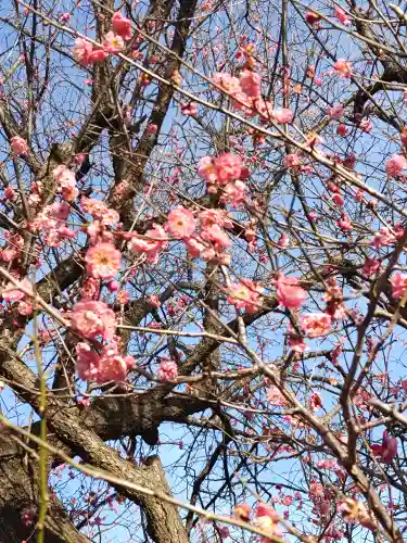 文殊寺(埼玉県)
