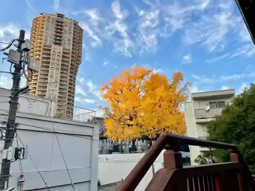 専光寺(東京都)