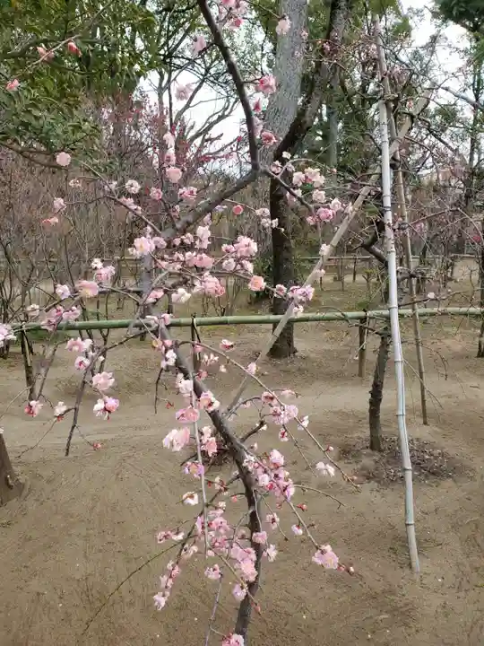 白幡天神社の自然