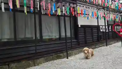 三井寺（平等寺）(福岡県)