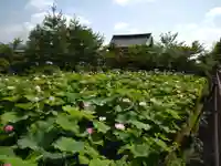 天龍寺(京都府)