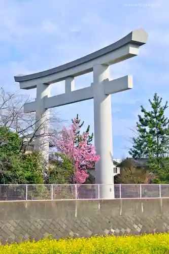 寒川神社の鳥居