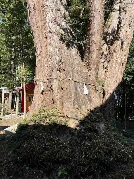 雄琴神社(栃木県)