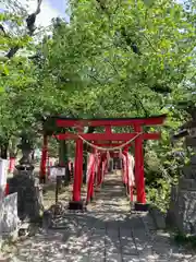 於菊稲荷神社の鳥居