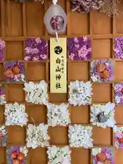 白山神社(新潟県)