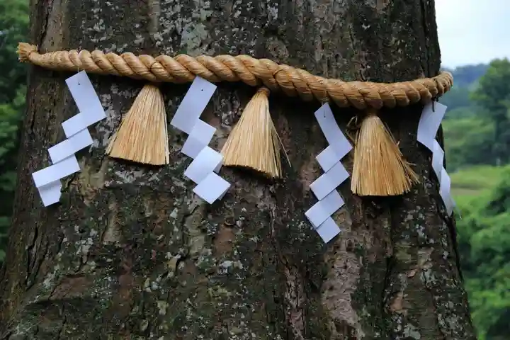 阿久津「田村神社」(郡山市阿久津町)旧社名:伊豆箱根三嶋三社の自然