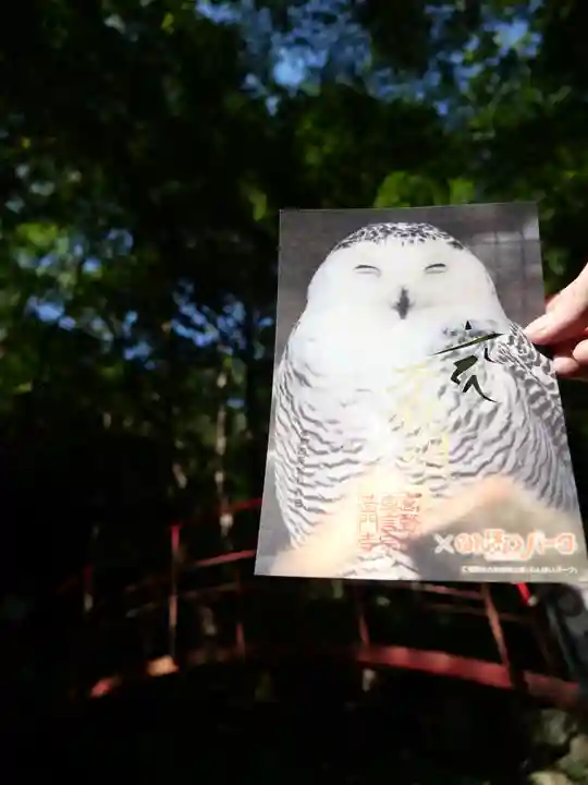普門寺(切り絵御朱印発祥の寺)の御朱印