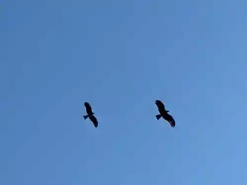 川口神社(千葉県)