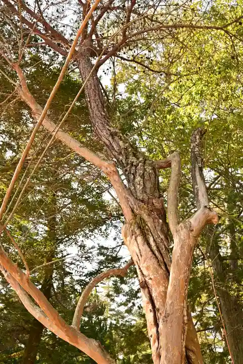 瑠璃光寺(山口県)