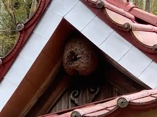 熊野神社の本殿・本堂