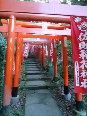 佐助稲荷神社(神奈川県)
