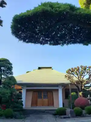 竜興寺の本殿・本堂