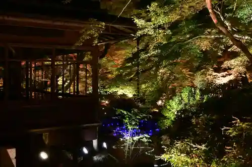 宝厳院(京都府)