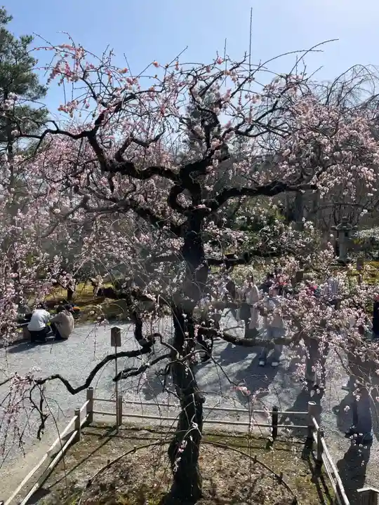 天龍寺(京都府)