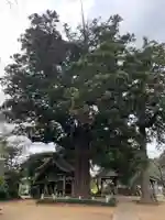 安興寺(千葉県)