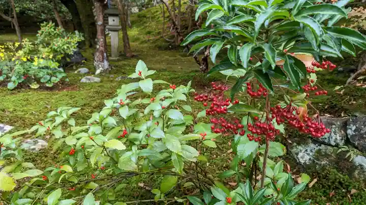 霊鑑寺門跡(京都府)