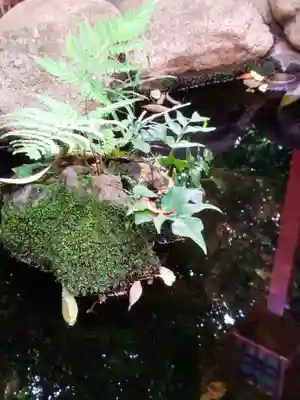 神明氷川神社(東京都)
