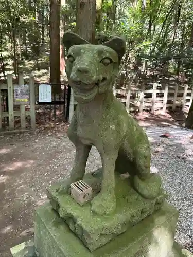 宝登山神社奥宮の狛犬