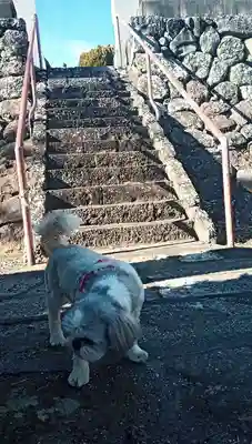 法界寺(山梨県)