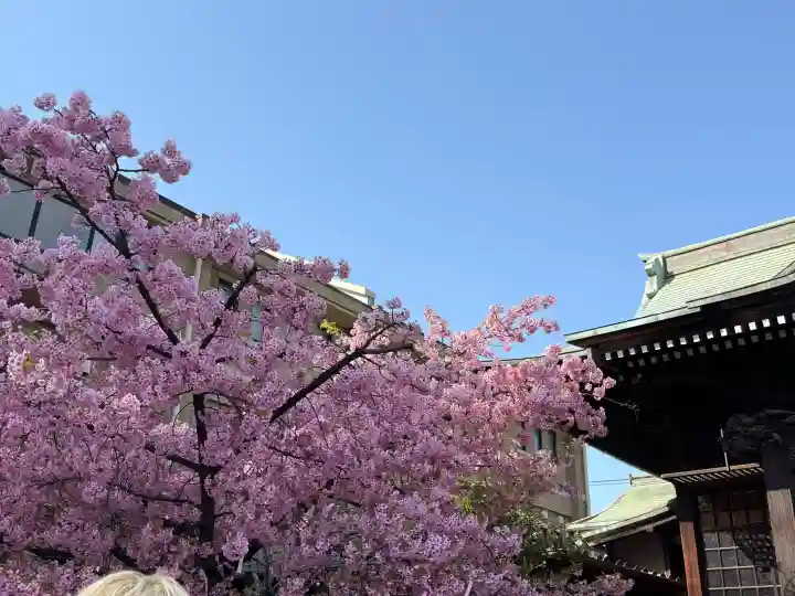 桜神宮の{uncategorized: "未分類", other: "その他", undefined: "問題あり", building: "その他建物", grave: "お墓", sacred_gate: "鳥居", guardian: "狛犬", statue: "像", buddha: "仏像", history: "歴史", nature: "自然", garden: "庭園", animal: "動物", pagoda: "塔", temizu: "手水舎", mountain_gate: "山門・神門", sanctuary: "本殿・本堂", subordinate: "末社・摂社", art: "芸術", scenery: "景色", jizo: "地蔵", ema: "絵馬", goshuin: "御朱印", omikuji: "おみくじ", items: "授与品その他", amulet: "お守り", goshuincho: "御朱印帳", eats: "食事", festival: "お祭り", votive_dance: "神楽", shichigosan: "七五三参", wedding: "結婚式", experience: "体験その他", initially: "初詣", around: "周辺", anti_infection: "感染症対策"}