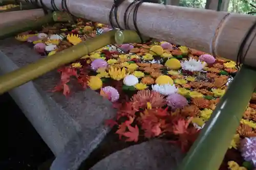 石清水八幡宮の手水舎