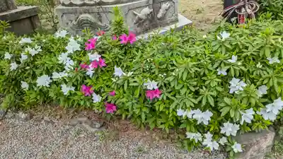 道明寺天満宮(大阪府)