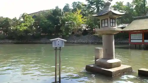 厳島神社の庭園