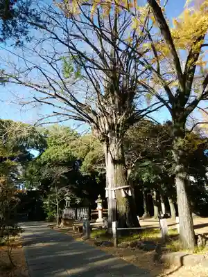 赤坂氷川神社(東京都)