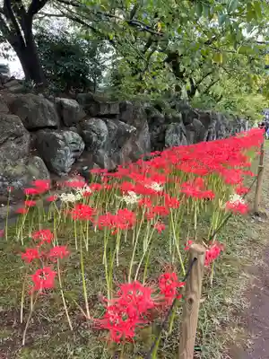 横浜　西方寺(神奈川県)