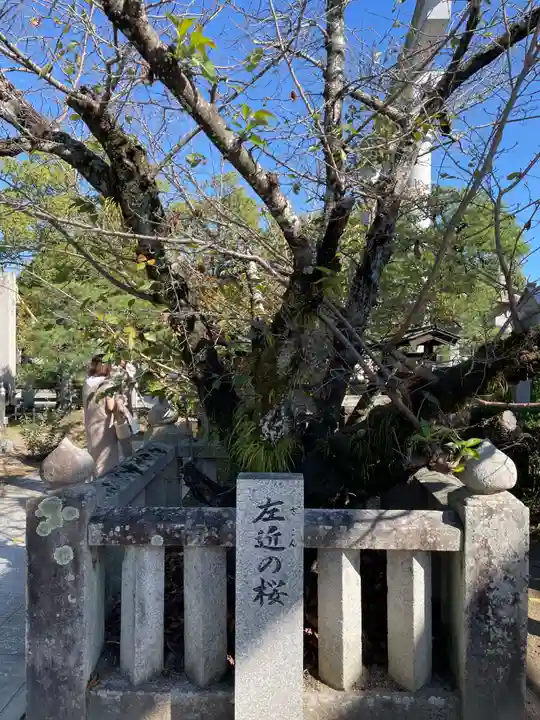 田村神社(香川県)
