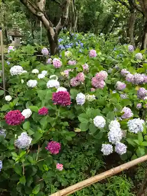 頼光寺(兵庫県)