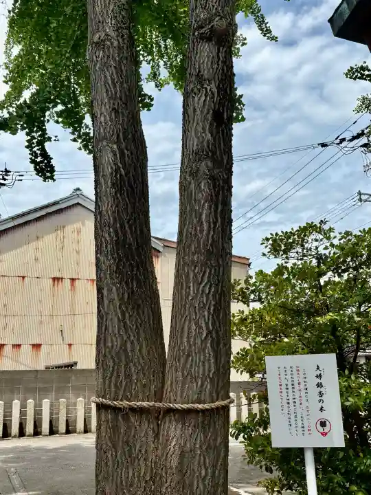 杉杜白髭神社の{uncategorized: "未分類", other: "その他", undefined: "問題あり", building: "その他建物", grave: "お墓", sacred_gate: "鳥居", guardian: "狛犬", statue: "像", buddha: "仏像", history: "歴史", nature: "自然", garden: "庭園", animal: "動物", pagoda: "塔", temizu: "手水舎", mountain_gate: "山門・神門", sanctuary: "本殿・本堂", subordinate: "末社・摂社", art: "芸術", scenery: "景色", jizo: "地蔵", ema: "絵馬", goshuin: "御朱印", omikuji: "おみくじ", items: "授与品その他", amulet: "お守り", goshuincho: "御朱印帳", eats: "食事", festival: "お祭り", votive_dance: "神楽", shichigosan: "七五三参", wedding: "結婚式", experience: "体験その他", initially: "初詣", around: "周辺", anti_infection: "感染症対策"}