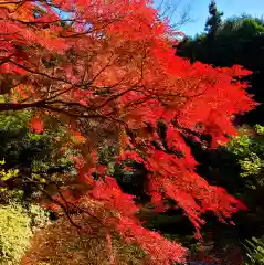 普門寺(切り絵御朱印発祥の寺)(愛知県)