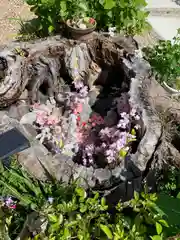 三輪神社の建物その他