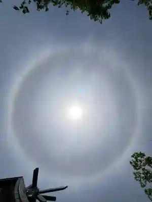 高泊神社(山口県)