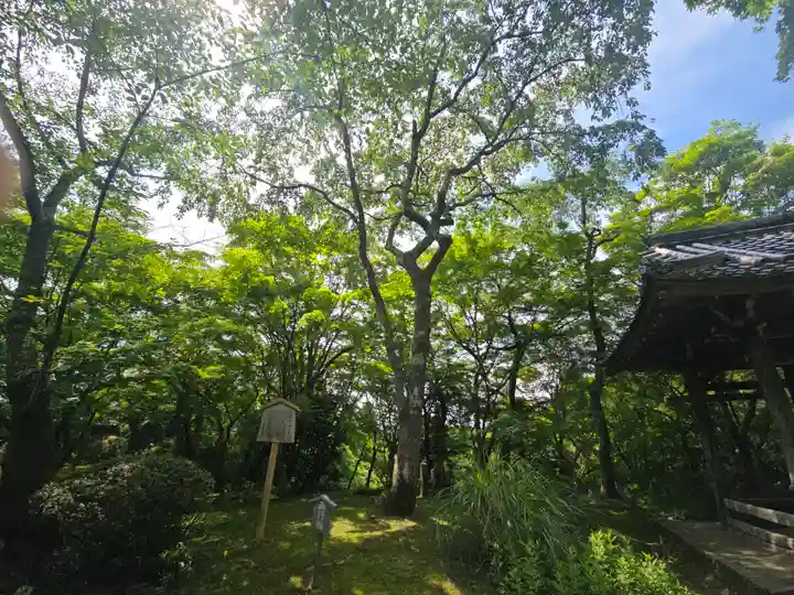 勝持寺(花の寺)(京都府)