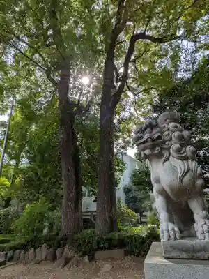 中野氷川神社(東京都)