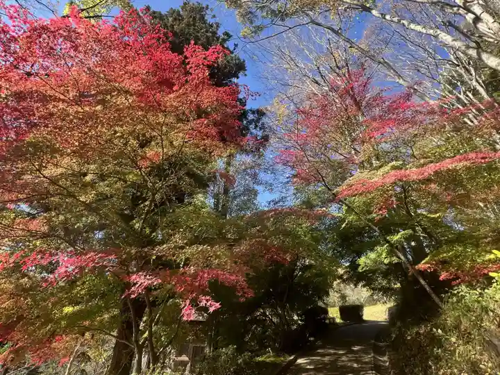 国宝 大法寺(長野県)