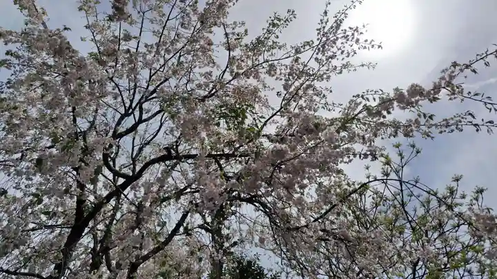 祐正寺(京都府)