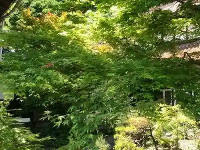 木舟山　順教寺(広島県)