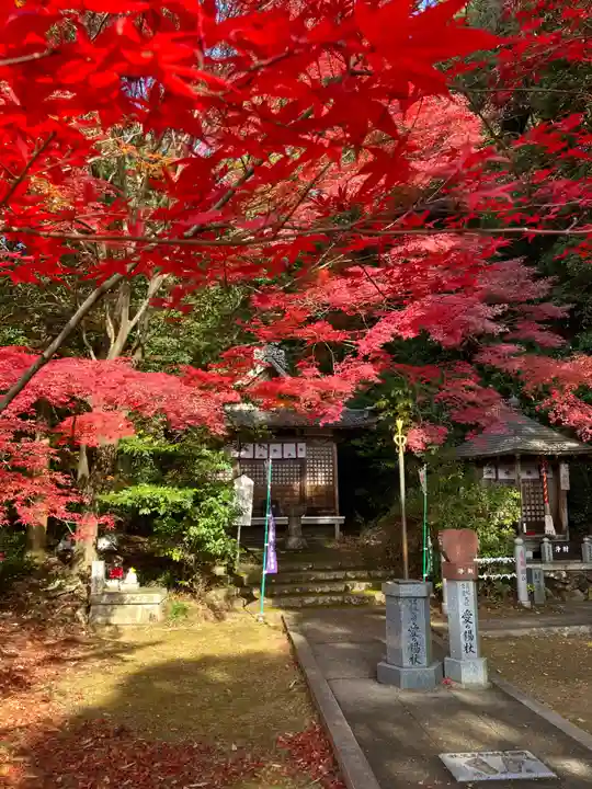 犬山寂光院の自然