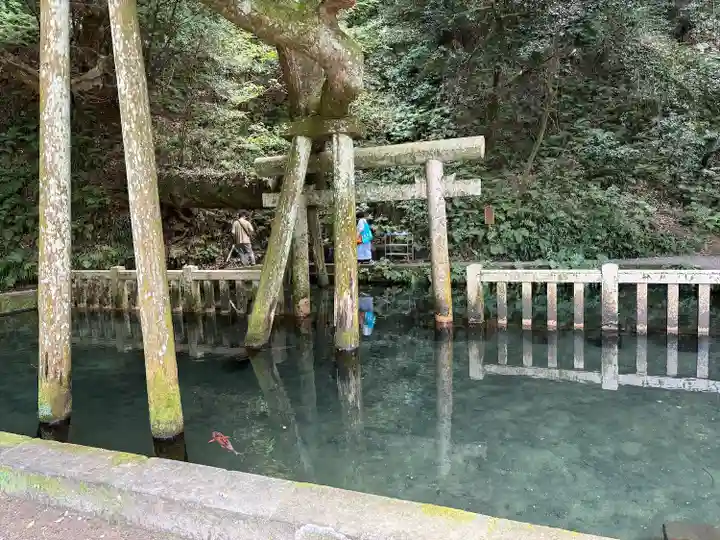 鹿島神宮(茨城県)